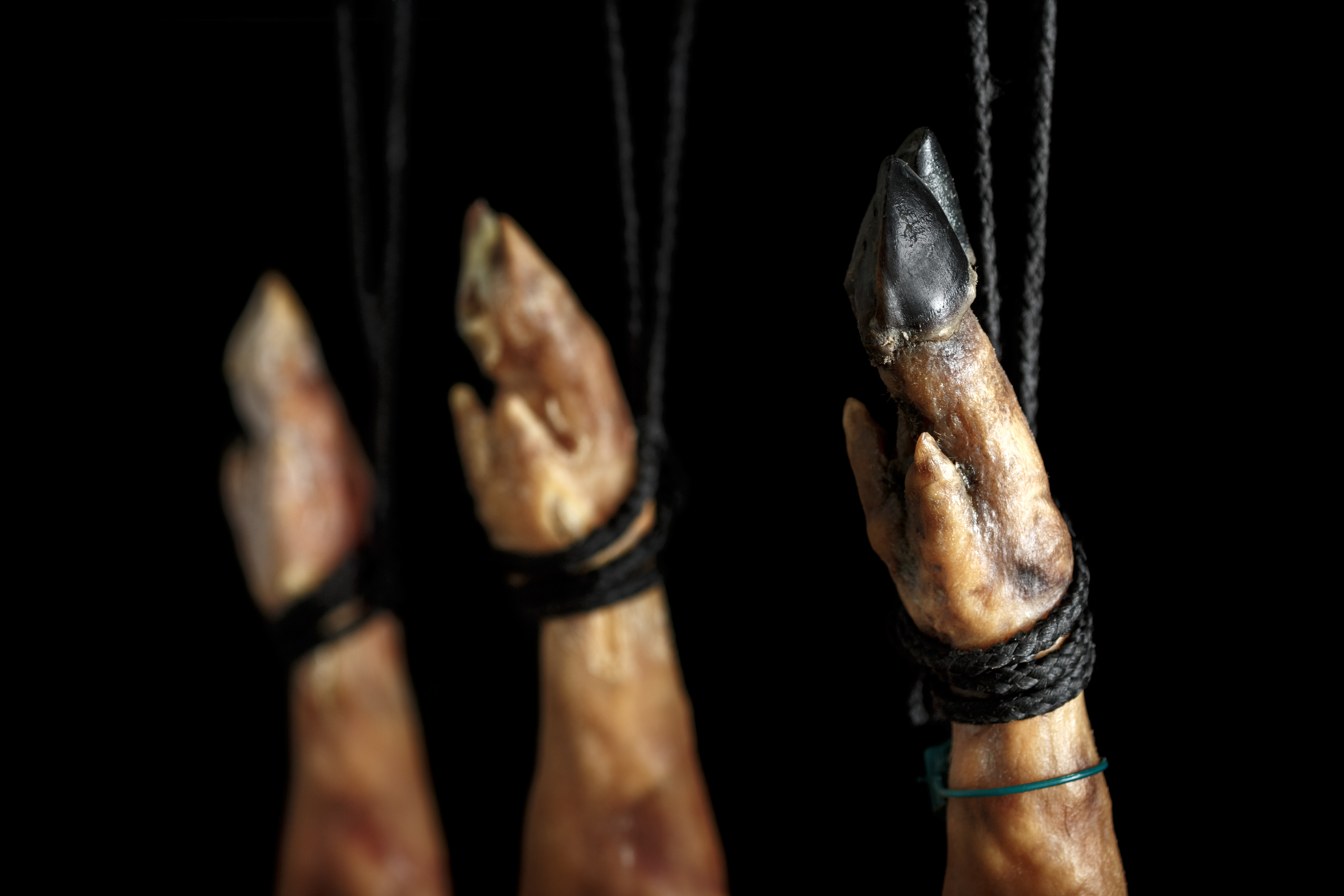 La riqueza cultural del Jamón en España